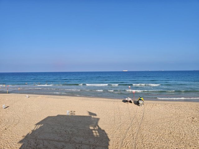 צילום גיא אוחיון