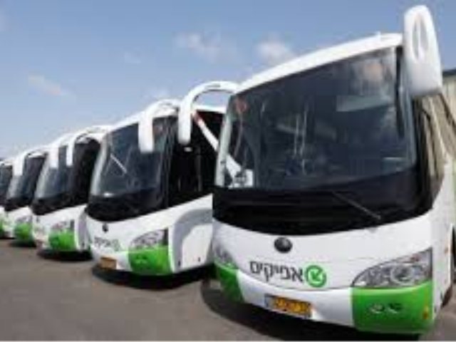 צילום: ארכיון