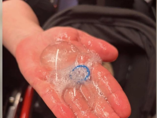 צילום: דוברות איחוד הצלה