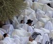 אומרים שהיה פה שמח: על רב אקרובט שמעתם?
