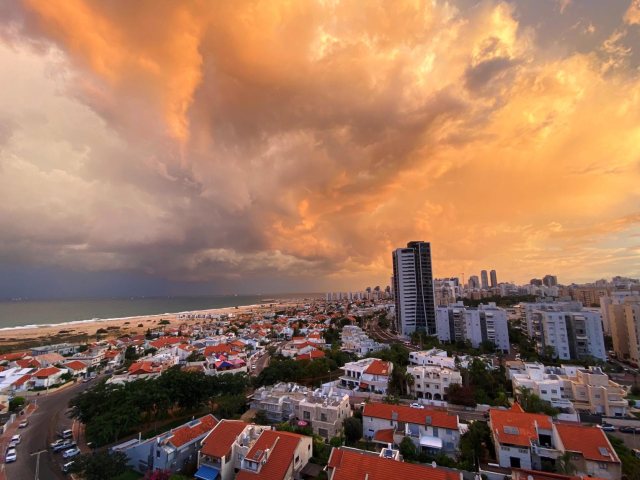 צילום: שמואל דוד