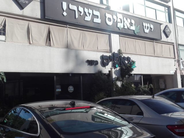 צילום: שמואל סרדינס