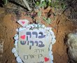 כשהחבר הכי טוב הולך: איך נפרדים מכלב בצורה מכבדת בתל אביב?