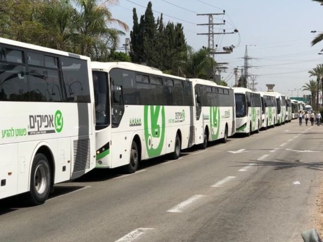 צילום באדיבות אפיקים