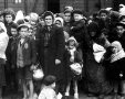 יהודים מהונגריה לאחר ההגעה לאושוויץ 1944 (צילום: Ernst Hofmann or Bernhard Walte/ wikimedia)