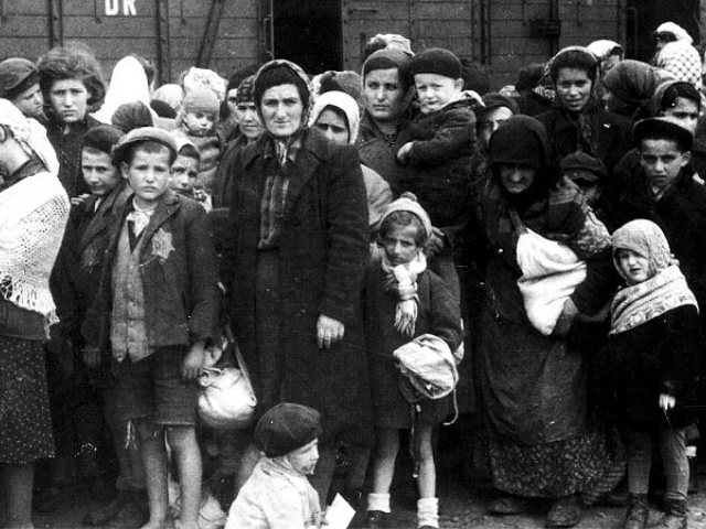 יהודים מהונגריה לאחר ההגעה לאושוויץ 1944 (צילום: Ernst Hofmann or Bernhard Walte/ wikimedia)