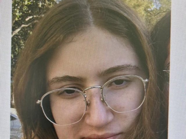 תמונת הנעדרת