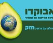 עיר דיגטלית
