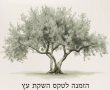 השקת עץ התקווה והזיכרון: סיפורי החטופים והחטופות יונצחו בעץ זית באשדוד