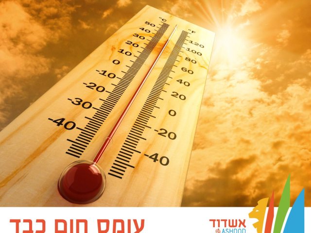 צילום: עיריית אשדוד