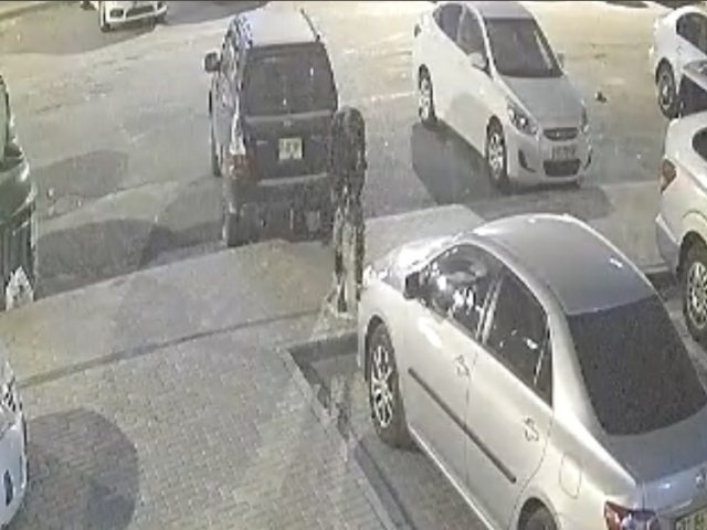צילום מסך מסרטון מצלמות האבטחה