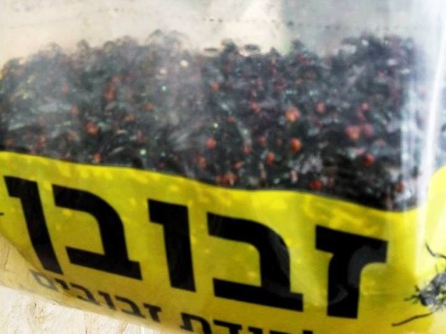 צילום ארכיון מקבוצת כל מה שמפריע לי באשדוד