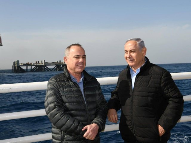 יובל שטייניץ