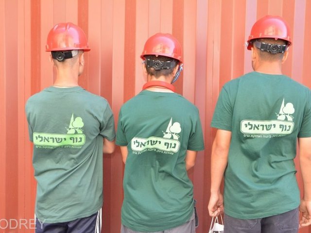 צילום: ODREY דניאל הרלב