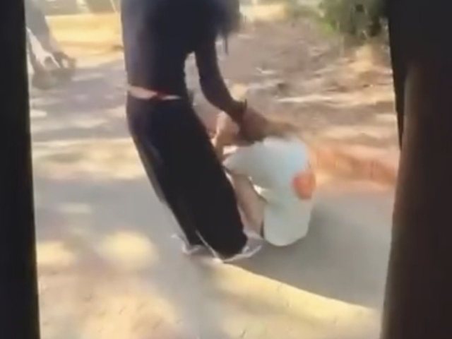 צילום מסך מהסירטון