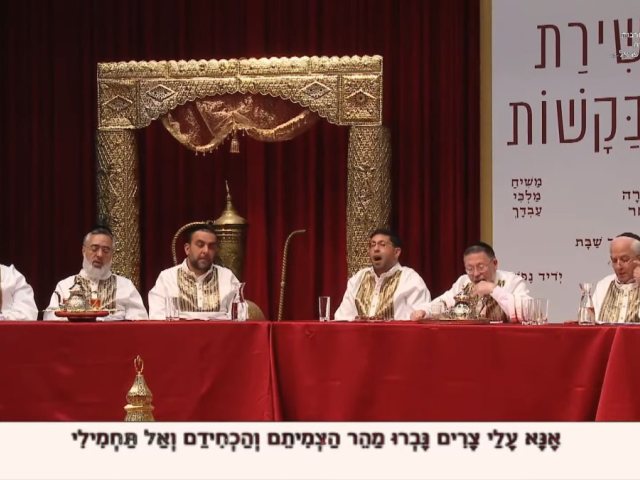 צילום מסך