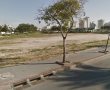 חשיפת אשדוד נט הרעידה את הקרקע ברובע ט"ו