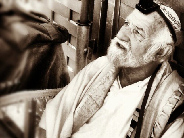 ציון אביב