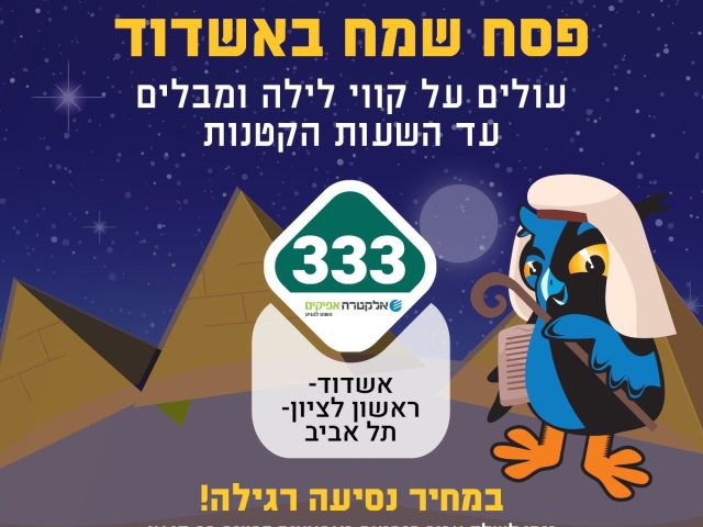 קווי הלילה