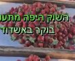 אחרי הגשמים: שוק ים באשדוד חוזר לפעילות 