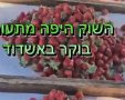 צילום: שמואל דוד