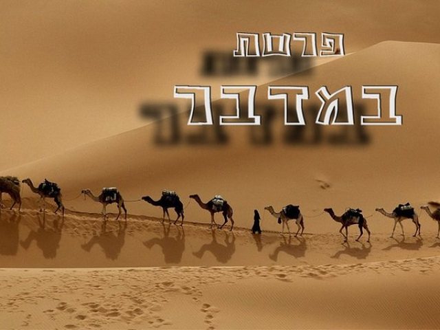 פרשת במדבר