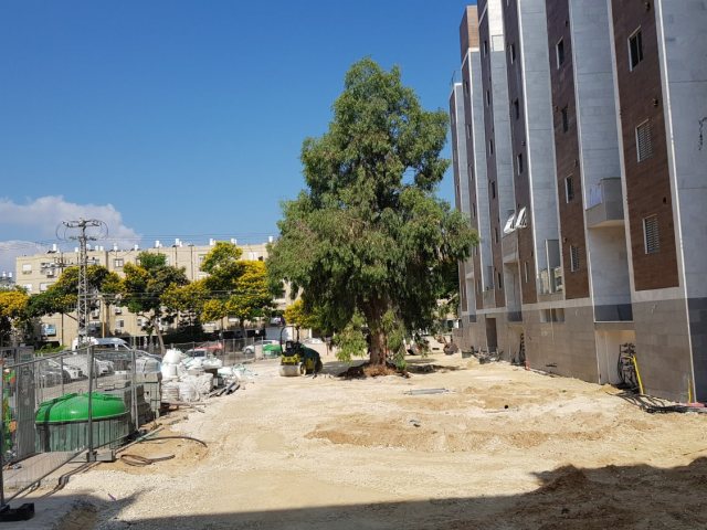 פרויקט תמ"א 38 ברובע ג' באשדוד - צילום: עופר אשטוקר
