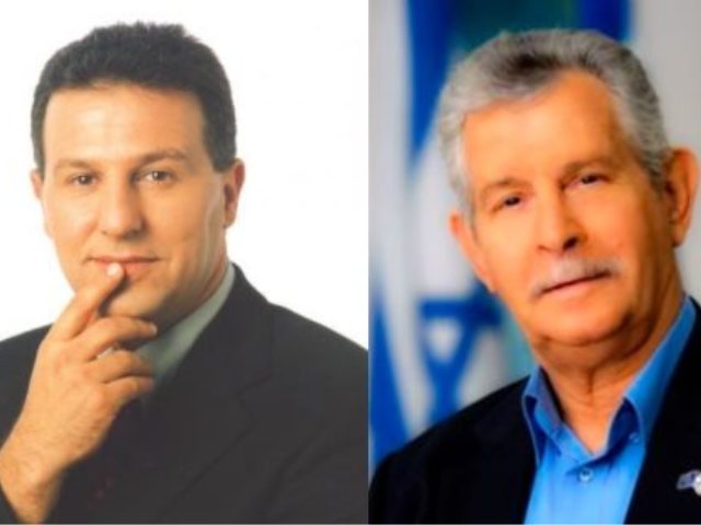 צבי ואייל