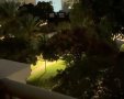 צילום מסך