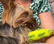 עצוב ומקומם: הכלב בון נפטר לאחר שבלע קרס דיג עם פיתיון בחוף אשדוד