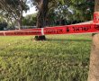 אירוע חמור באשדוד: שני בני 19 דקרו בן 18 בפארק בעיר - מצבו בינוני
