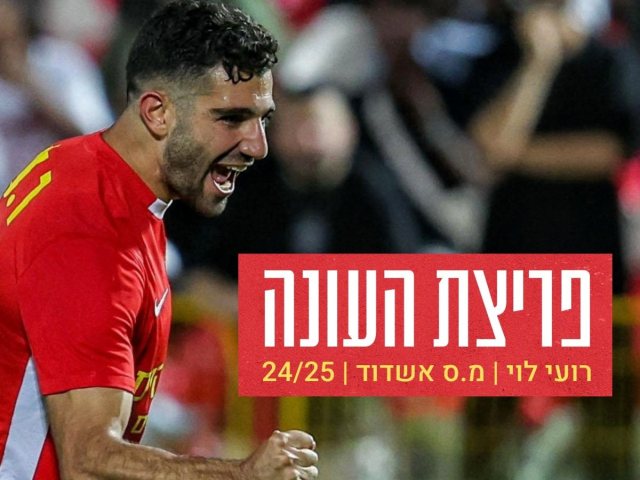 רועי לוי (פריצת השנה)