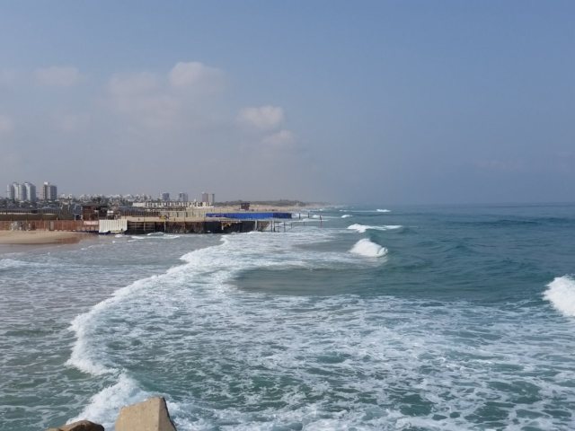 צילום: עופר אשטוקר - אשדוד נט