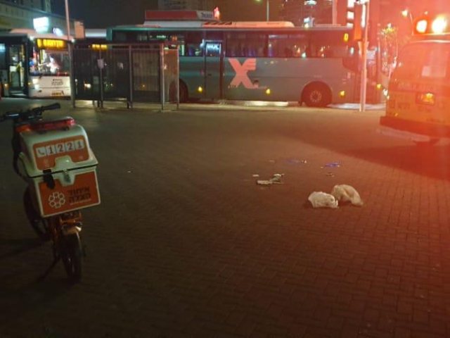 צילום: דוברות איחוד הצלה