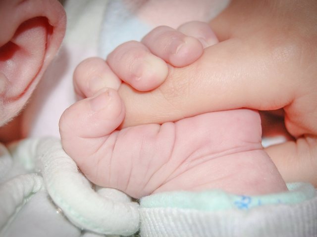 תינוק. אילוסטרציה: Michal Jarmoluk from Pixabay 