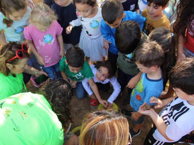 צילום: שמואל סרדינס