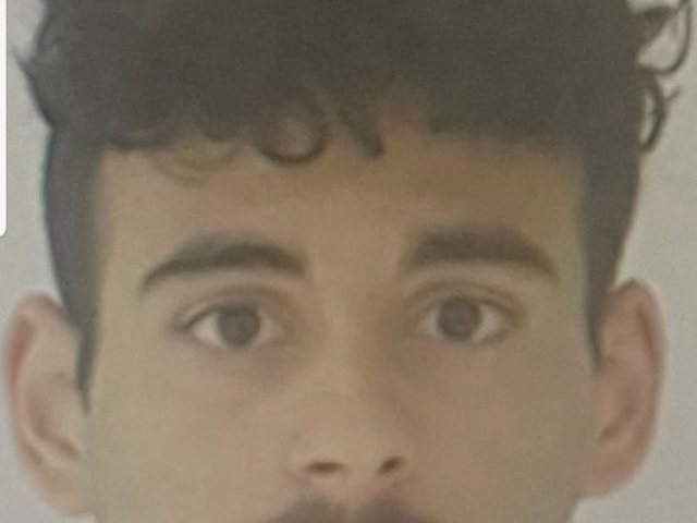 הנעדר גל אביטל