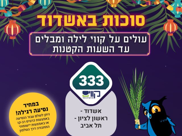 קווי לילה