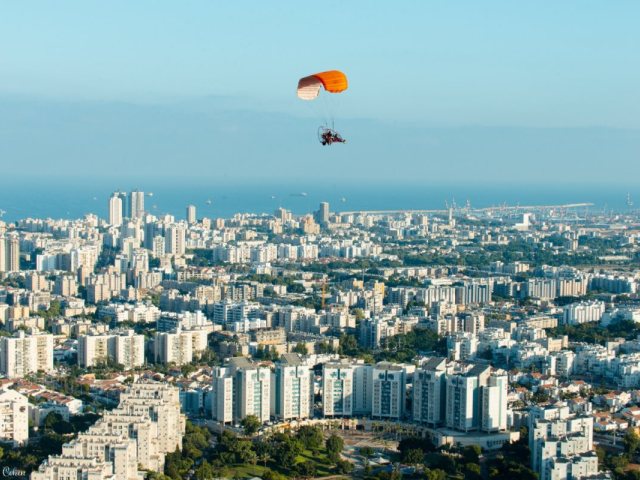 גמליאל כהן 