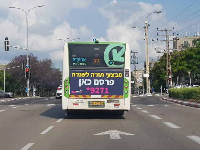 אוטובוס. צילום: עופר אשטוקר