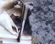 ספר התנ"ך השרוף כפי שצולם הבוקר (צילום: ליאור)