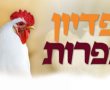 בלי לצאת מהבית: כך תקיימו את מנהג פדיון הכפרות בכיפור הקרוב