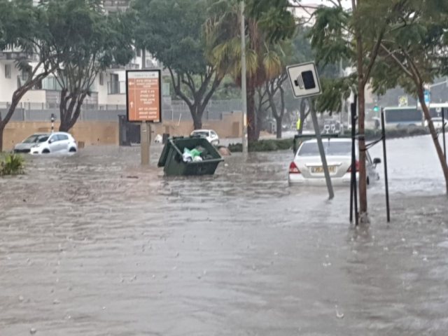 צילום: שמואל סרדינס