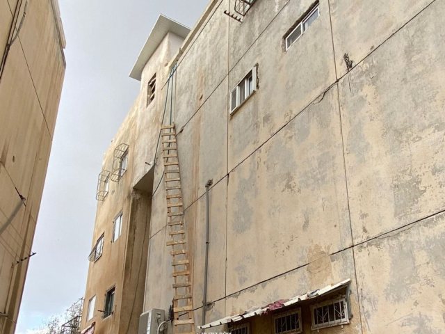 קרדיט: דודו חן