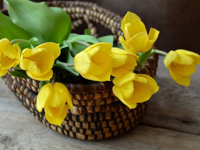 pixabay