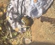 כתב אישום יוגש נגד תושב אשדוד שהשליך רימון רסס לבניין בבת ים