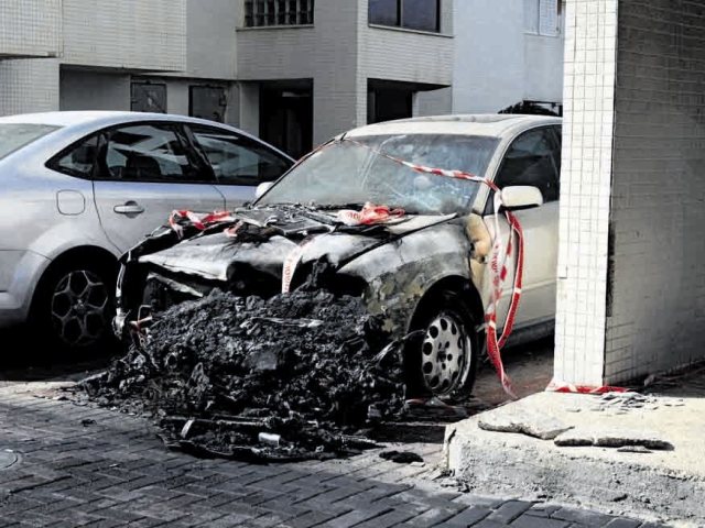 צילום: אבי רוקח