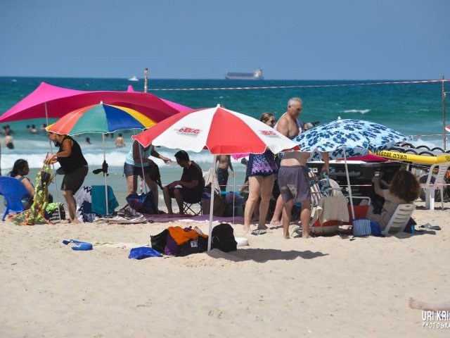 טעימה מיום הבוחר. צילומים אורי קריספין