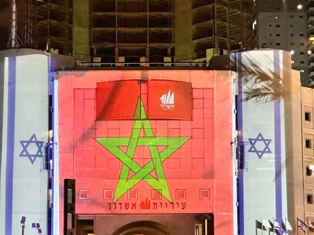 צילום: שמואל דוד