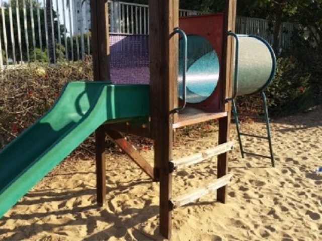 צילום: ארכיון